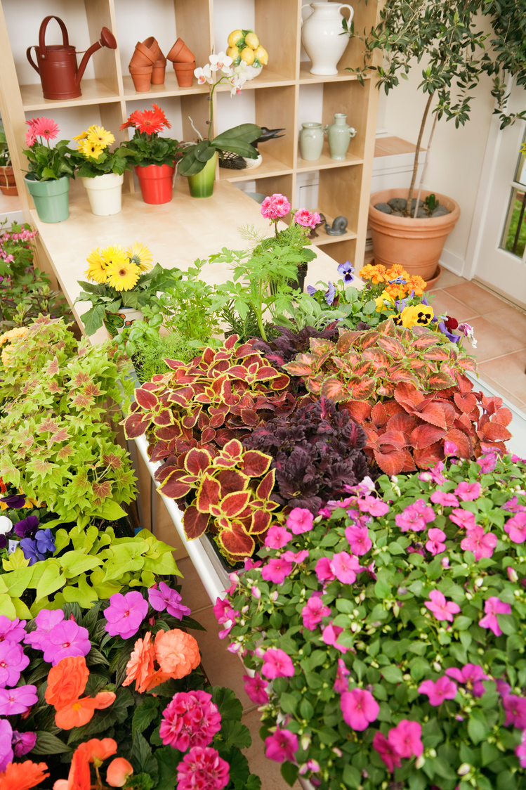 Flower Nursery Garden Center Retail Store in Spring Vt